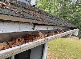 Clogged Gutters