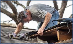 Roof Leak Inspection and Diagnosis