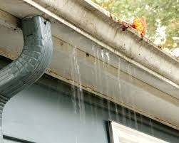Leaking Roof