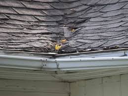 Sagging or Buckling Roof